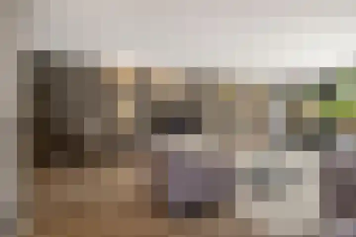 Boutensgaarde 98 Deventer thumbnail 7