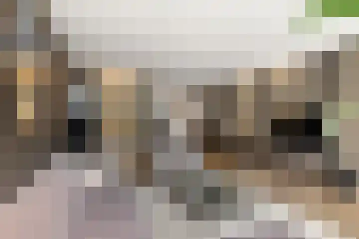 Boutensgaarde 98 Deventer thumbnail 8