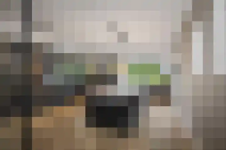 Boutensgaarde 98 Deventer thumbnail 9