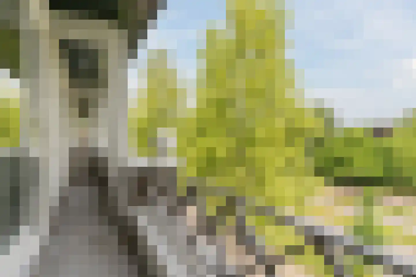 Boutenslaan 109 Eindhoven thumbnail 25