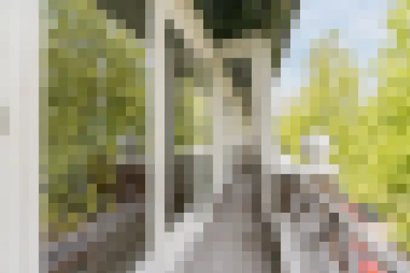 Boutenslaan 109 Eindhoven thumbnail 26