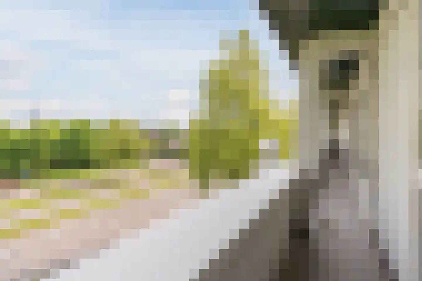 Boutenslaan 109 Eindhoven thumbnail 27