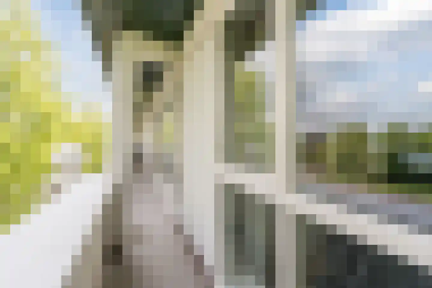 Boutenslaan 109 Eindhoven thumbnail 28