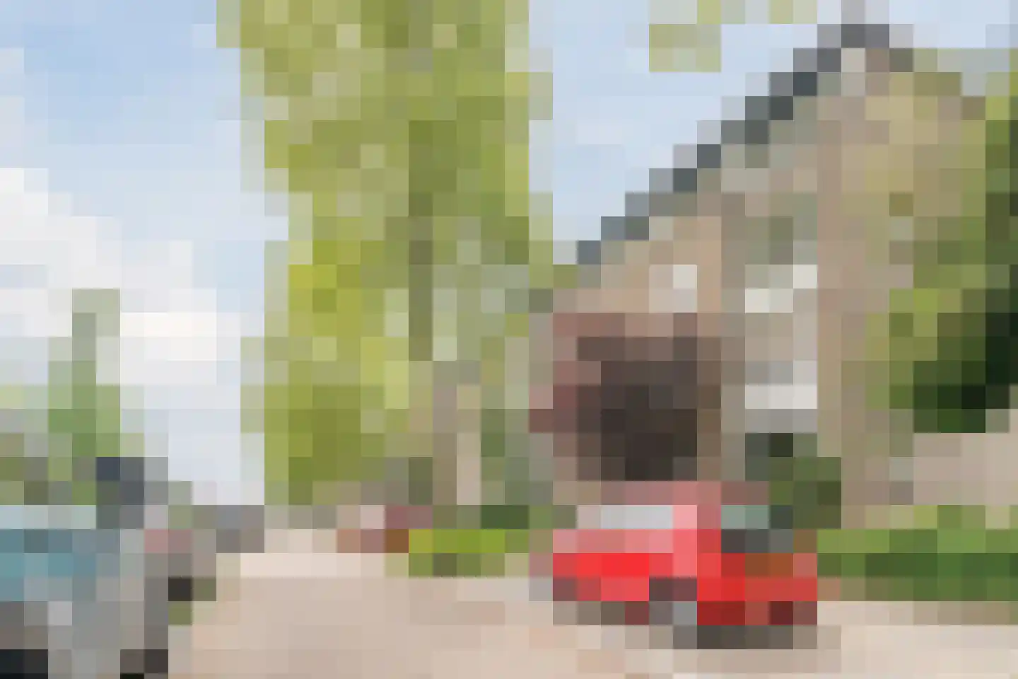 Boutenslaan 109 Eindhoven thumbnail 30