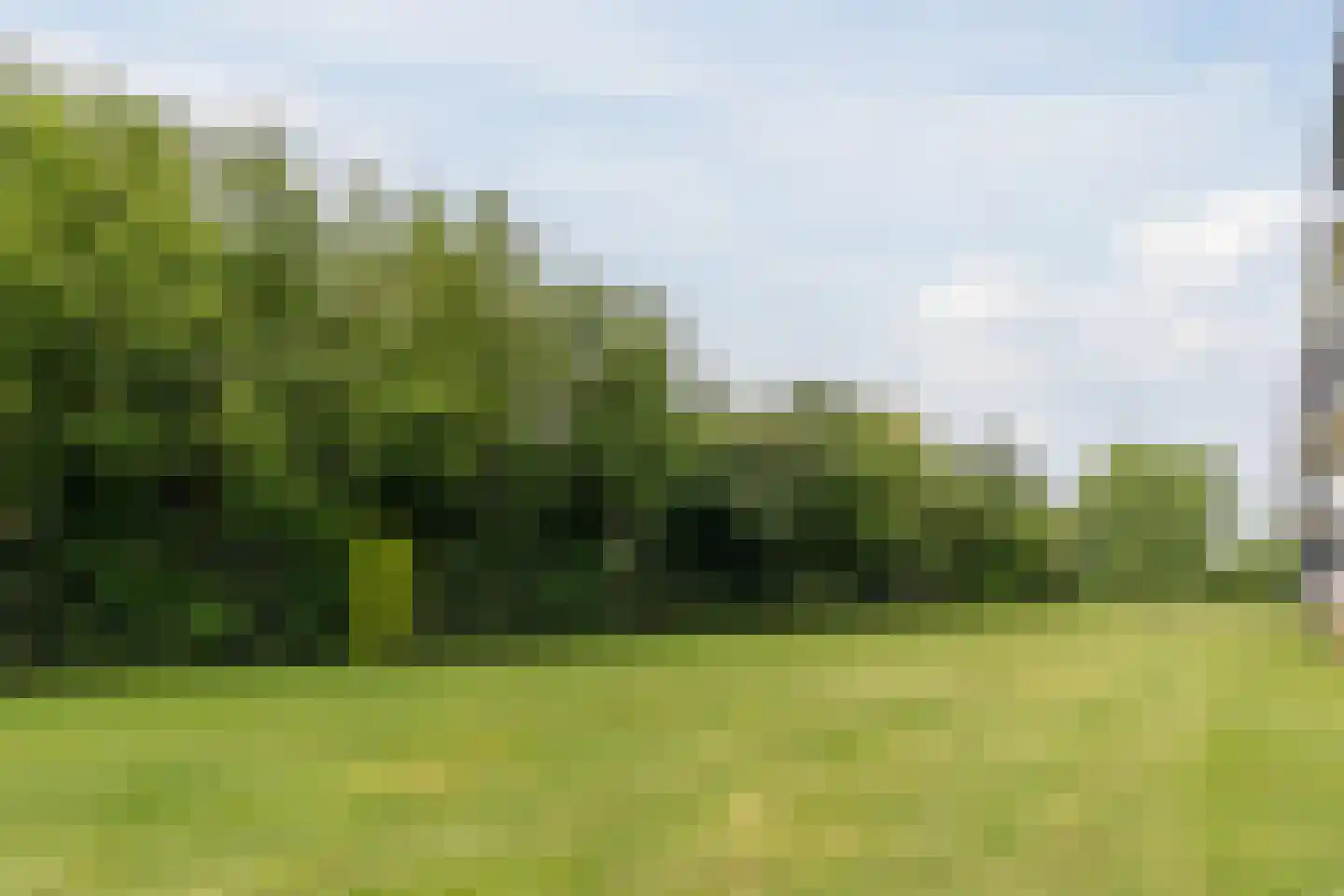 Boutenslaan 109 Eindhoven thumbnail 31