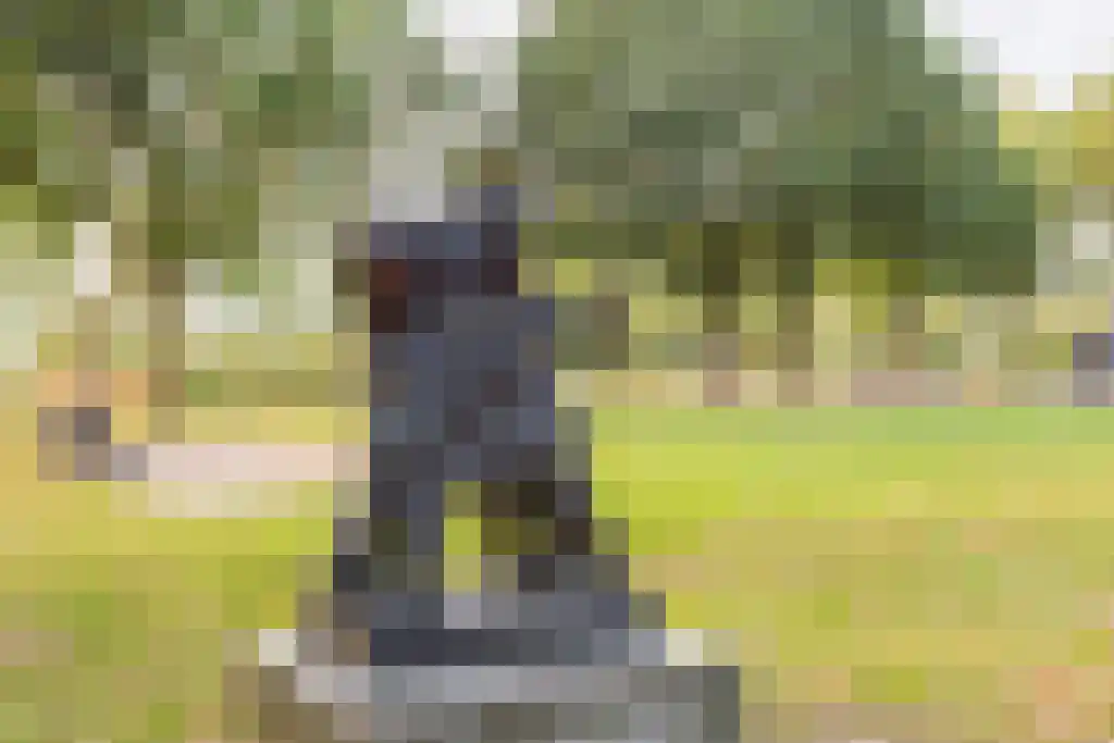 Boutenslaan 109 Eindhoven thumbnail 33