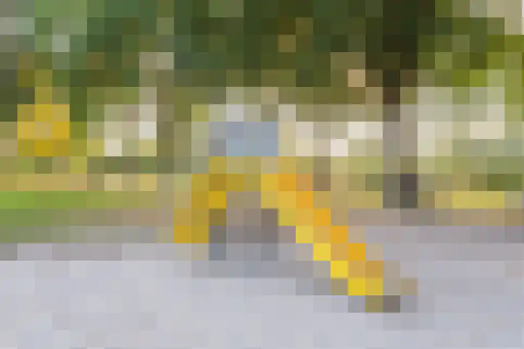 Boutenslaan 109 Eindhoven thumbnail 34