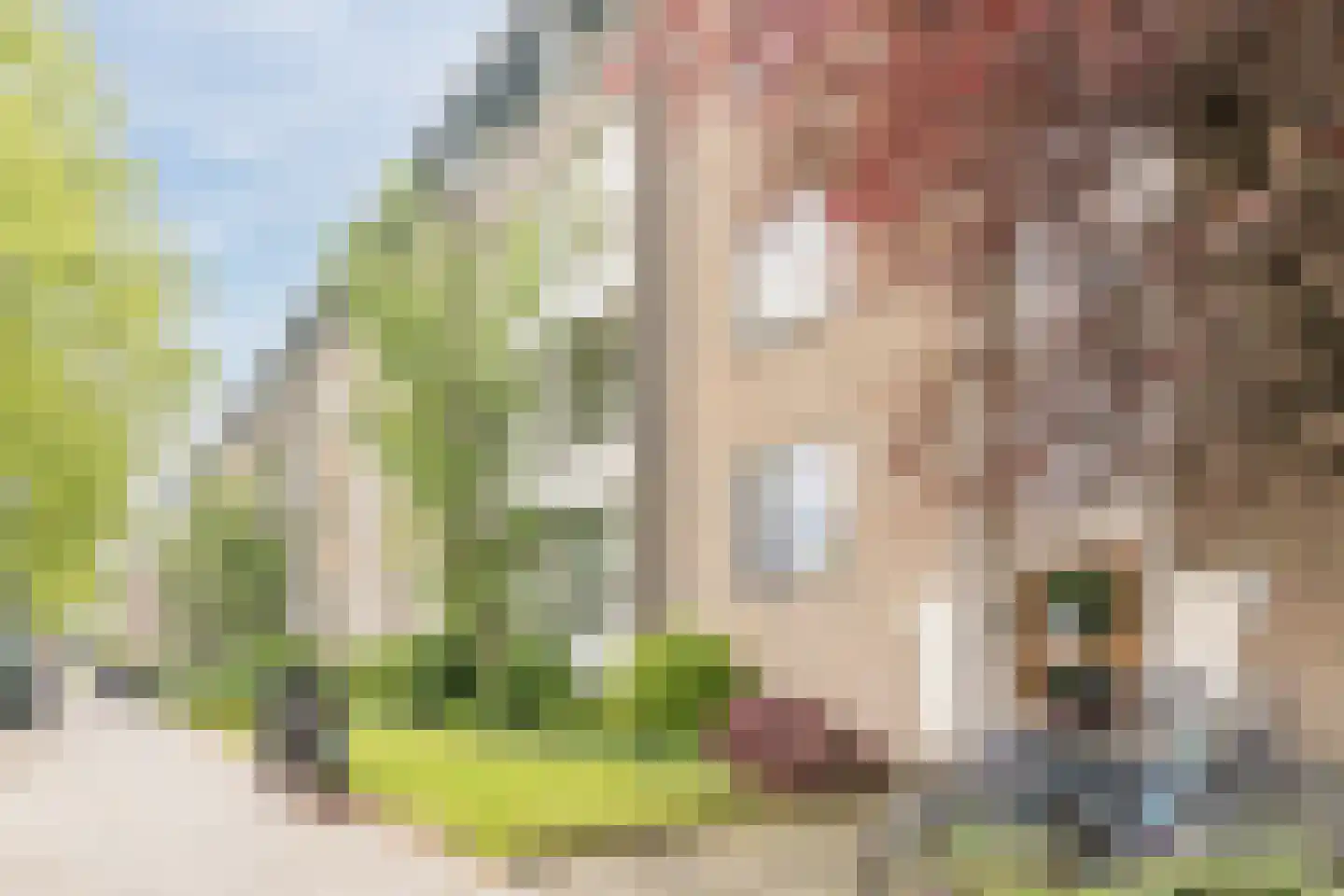 Boutenslaan 109 Eindhoven thumbnail 7