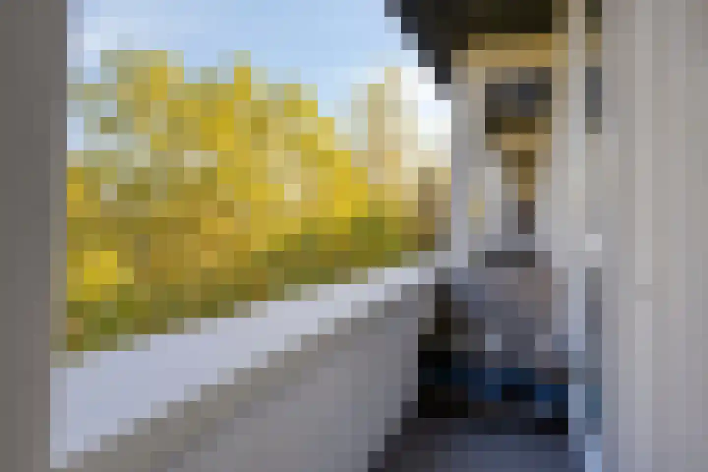 Boutenslaan 159 Eindhoven thumbnail 20