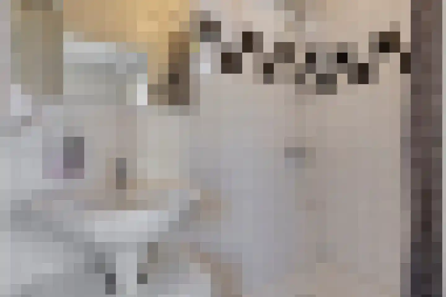 Boutenslaan 159 Eindhoven thumbnail 27