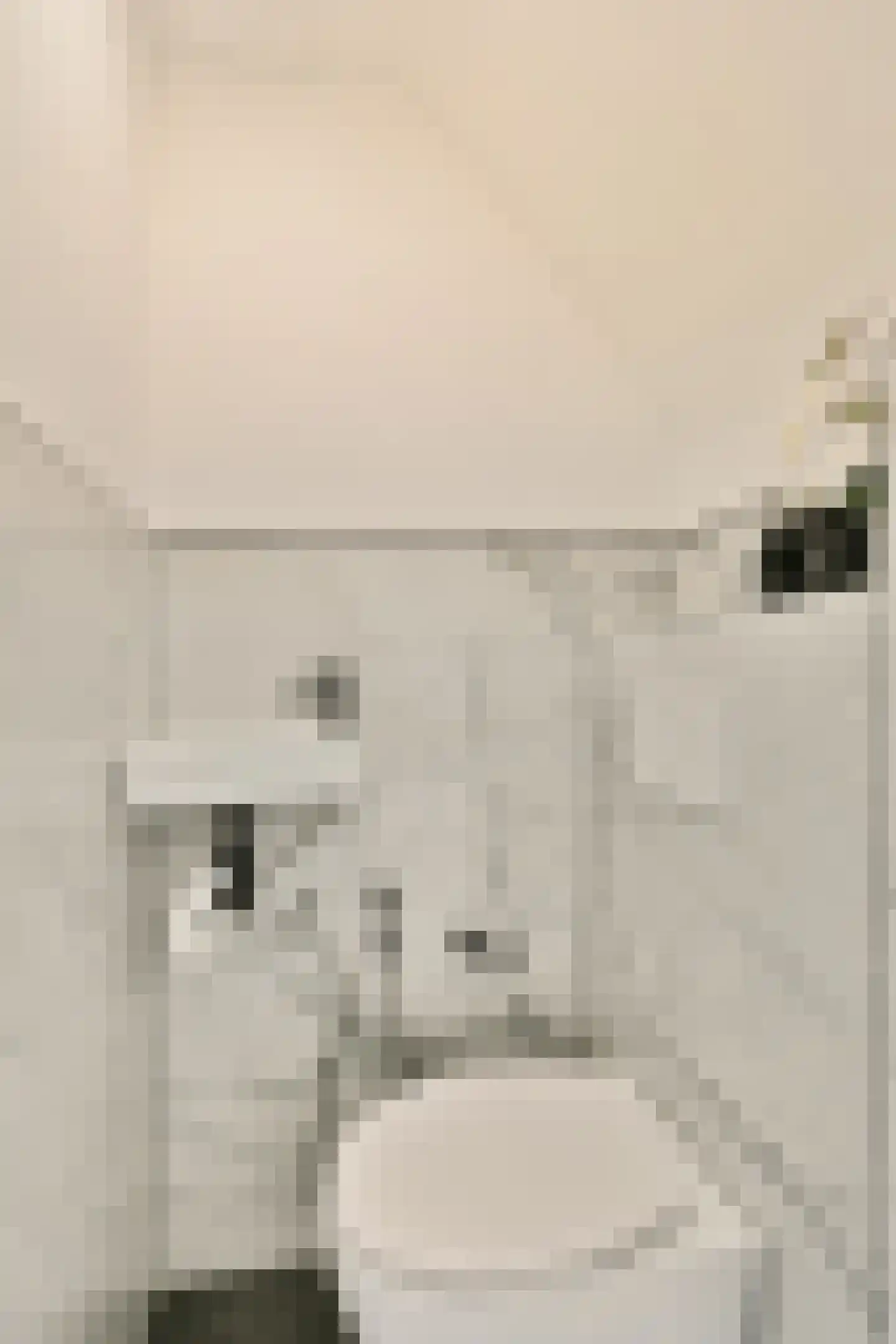 Boutenslaan 16 Uithoorn thumbnail 8