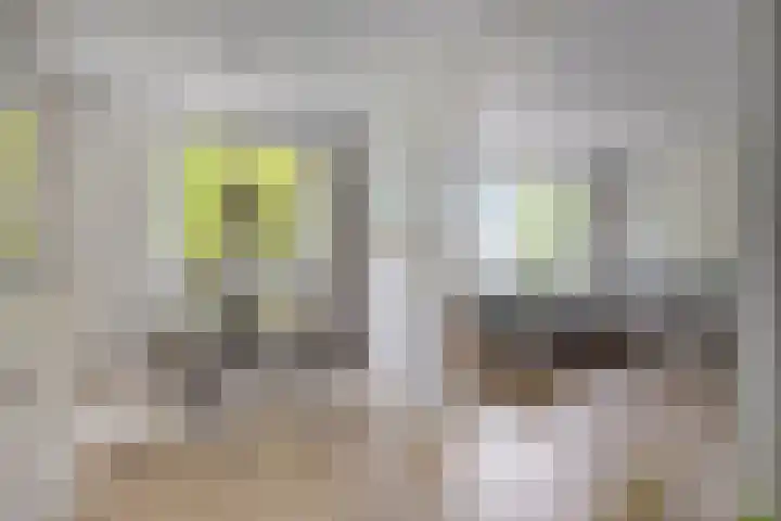 Boutenslaan 25 Eindhoven thumbnail 13