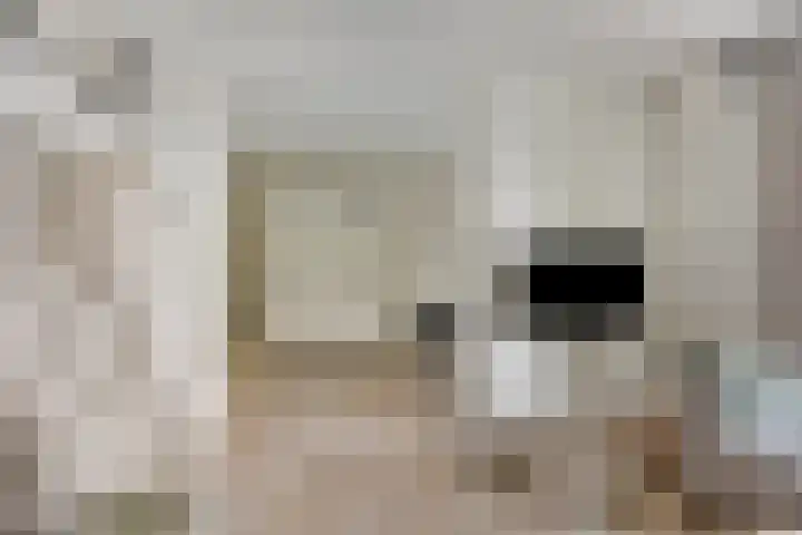 Boutenslaan 25 Eindhoven thumbnail 16