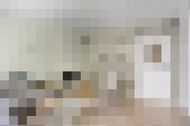Boutenslaan 25 Eindhoven thumbnail 17