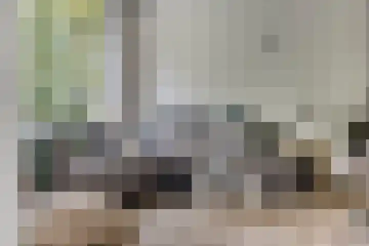 Boutenslaan 25 Eindhoven thumbnail 18