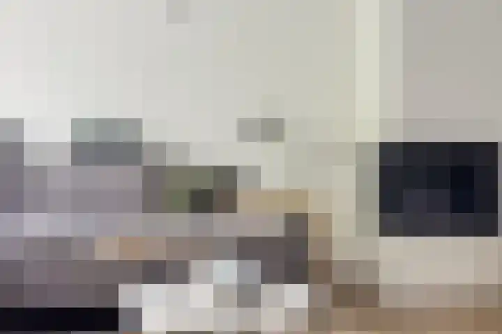 Boutenslaan 25 Eindhoven thumbnail 20