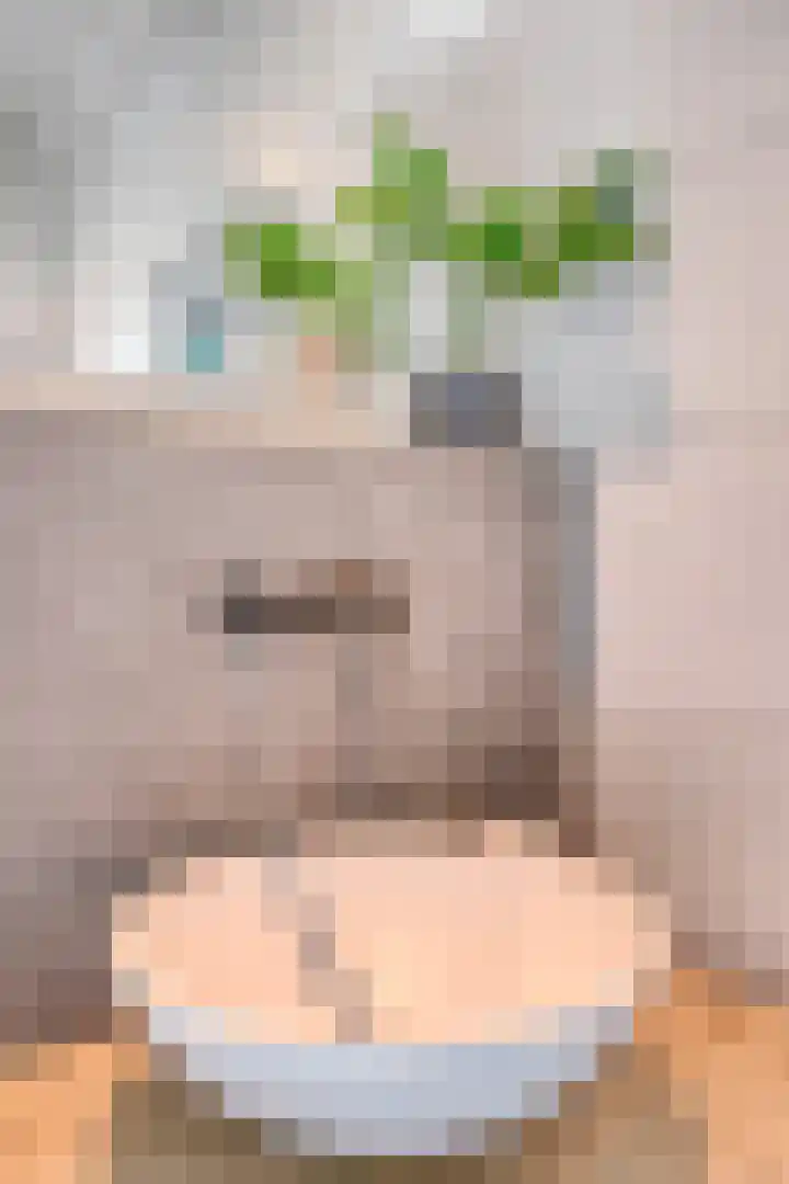 Boutenslaan 25 Eindhoven thumbnail 27
