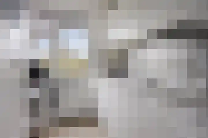 Boutenslaan 25 Eindhoven thumbnail 29