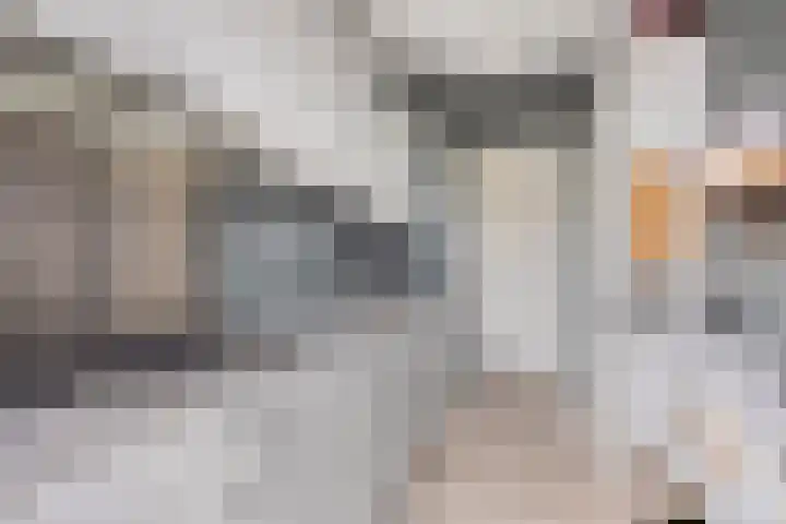 Boutenslaan 25 Eindhoven thumbnail 32