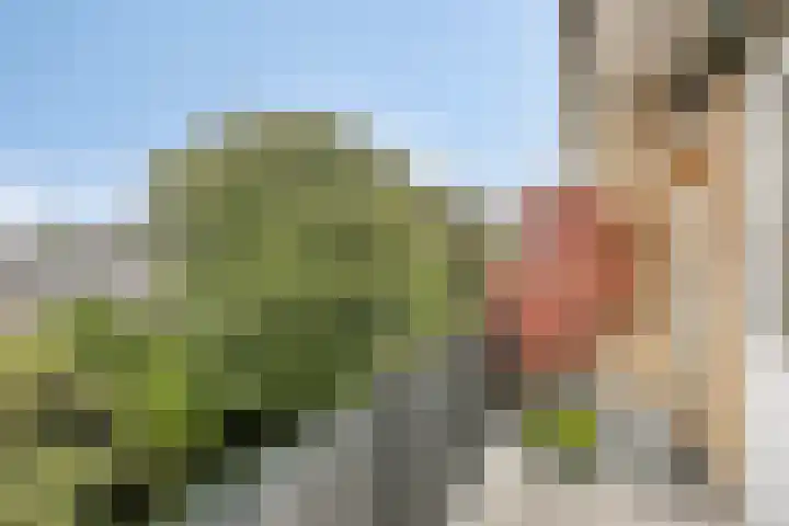 Boutenslaan 25 Eindhoven thumbnail 35