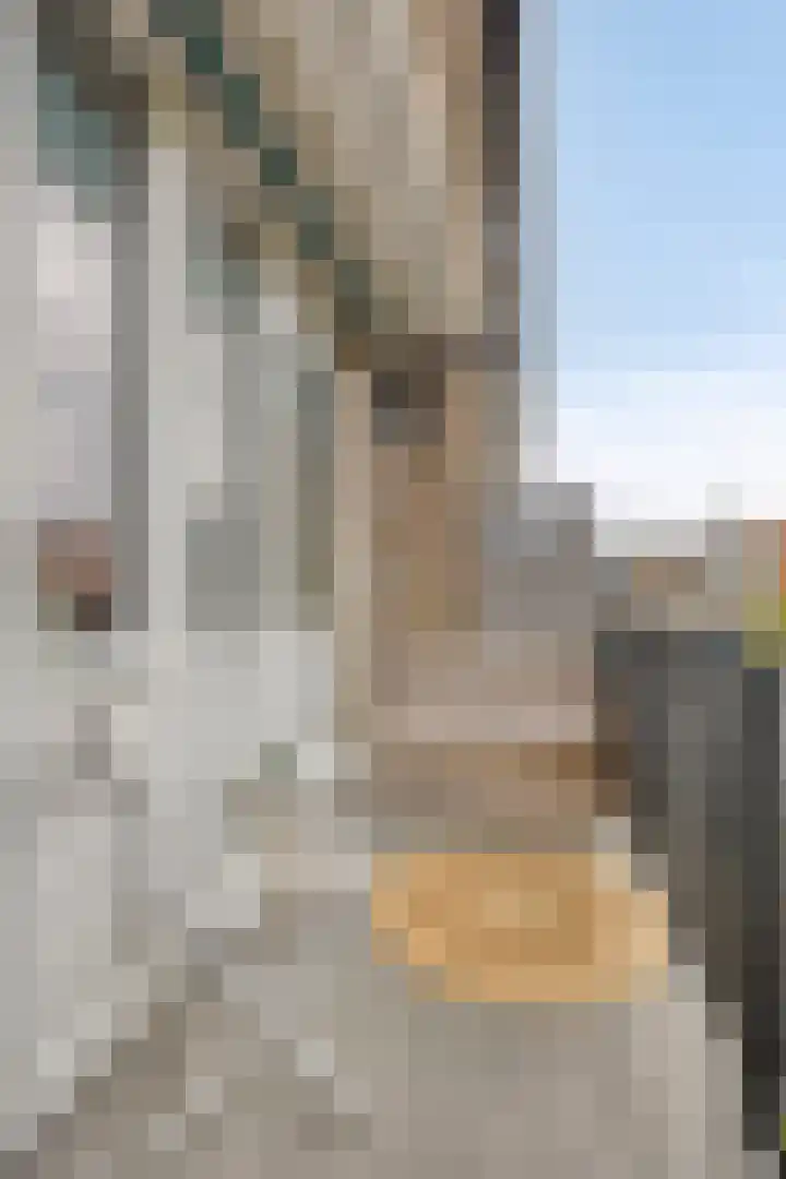 Boutenslaan 25 Eindhoven thumbnail 37