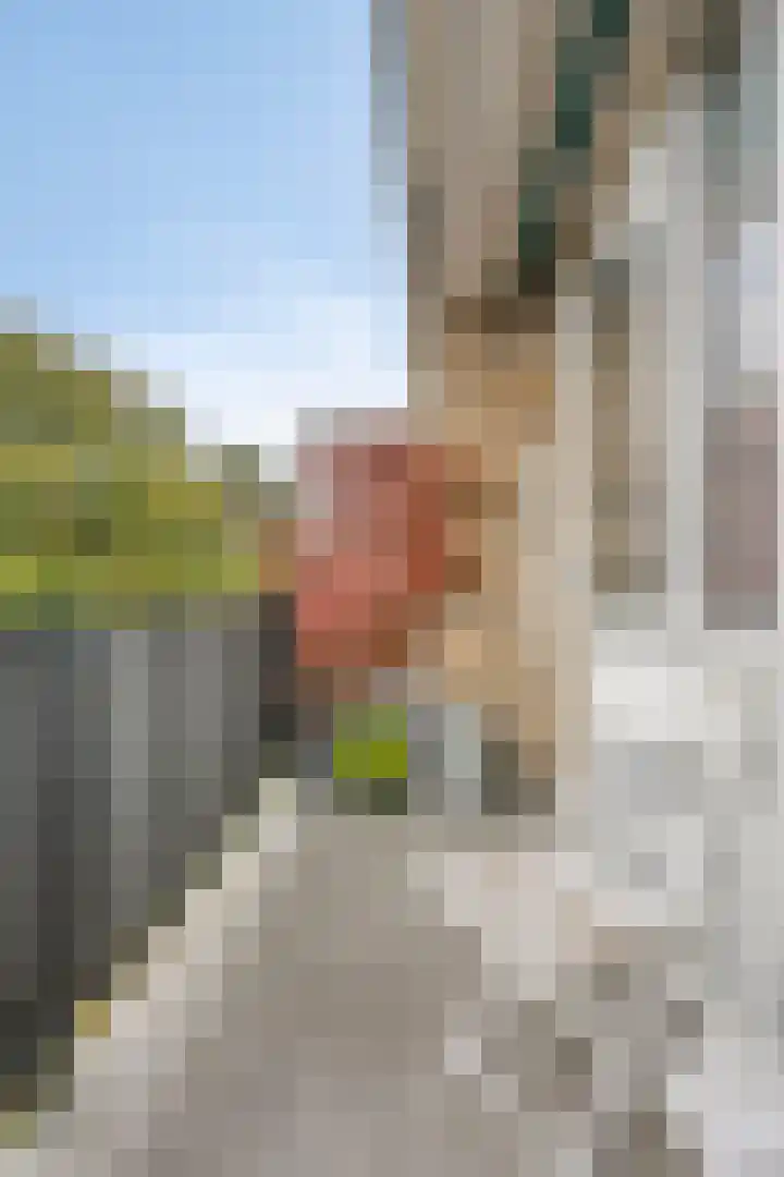 Boutenslaan 25 Eindhoven thumbnail 38