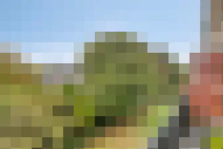 Boutenslaan 25 Eindhoven thumbnail 39