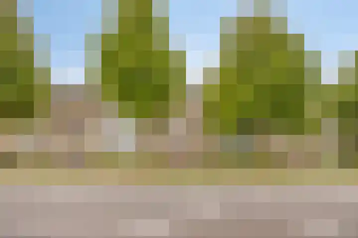 Boutenslaan 25 Eindhoven thumbnail 4