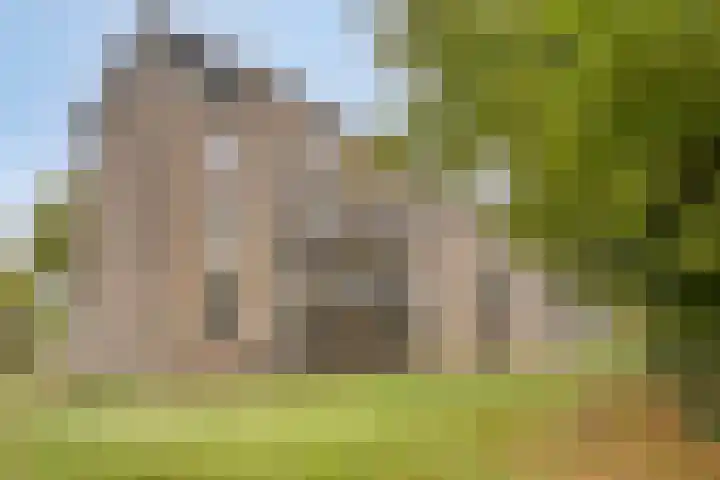 Boutenslaan 25 Eindhoven thumbnail 43