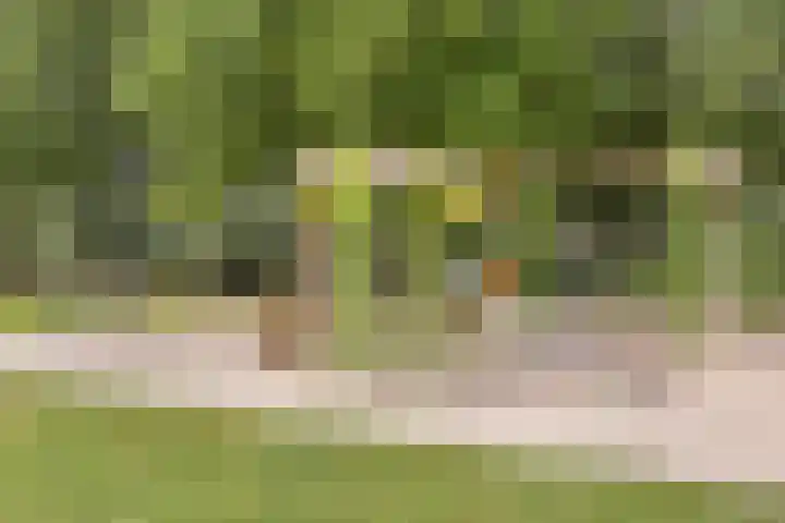 Boutenslaan 25 Eindhoven thumbnail 44