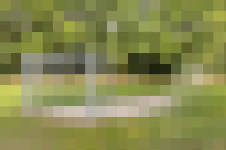 Boutenslaan 25 Eindhoven thumbnail 45
