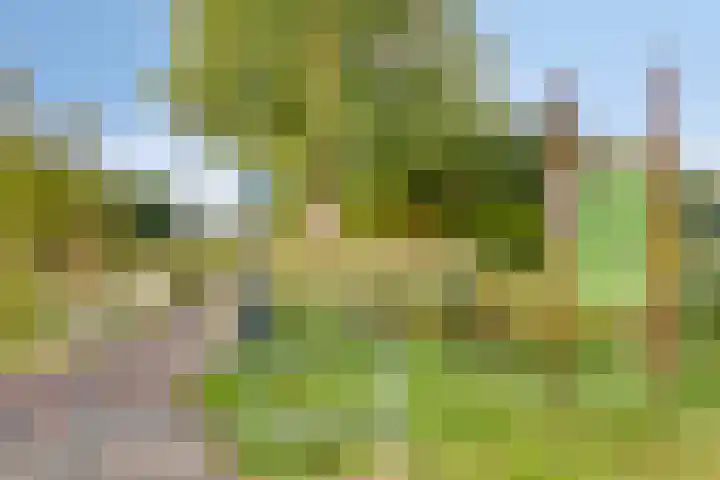 Boutenslaan 25 Eindhoven thumbnail 46