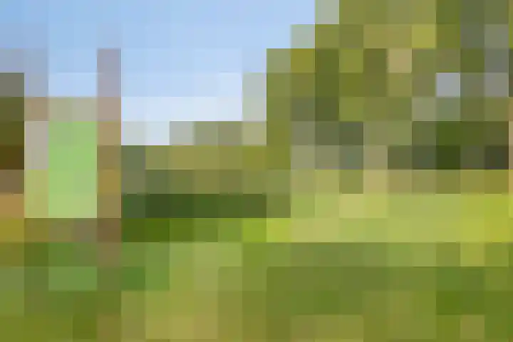 Boutenslaan 25 Eindhoven thumbnail 47