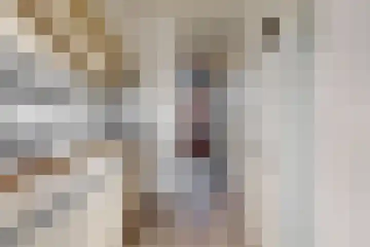 Boutenslaan 28 Uithoorn thumbnail 9