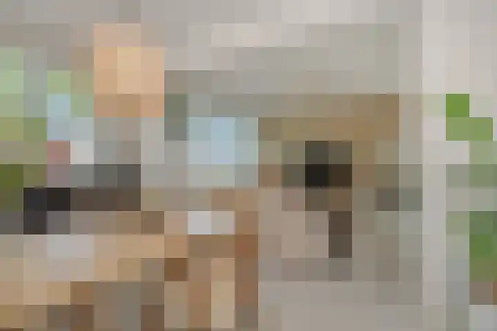 Boutenslaan 33 Eindhoven thumbnail 11