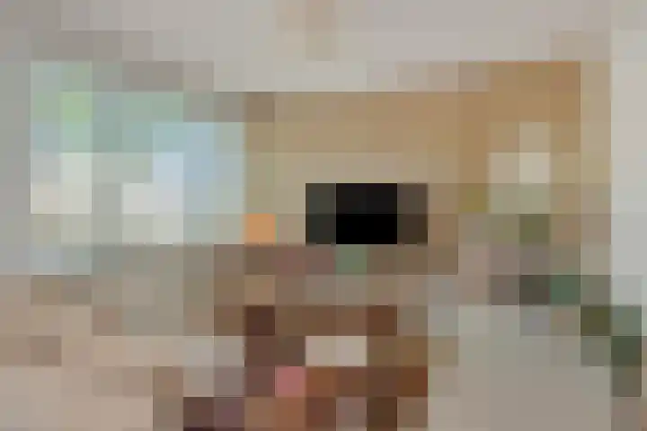 Boutenslaan 33 Eindhoven thumbnail 12