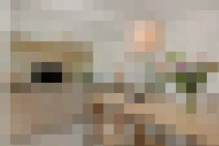 Boutenslaan 33 Eindhoven thumbnail 14
