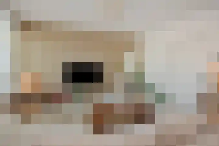 Boutenslaan 33 Eindhoven thumbnail 15