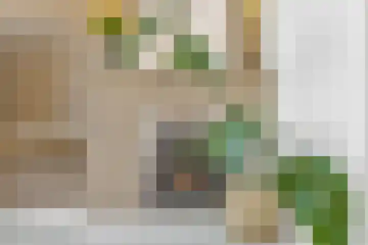 Boutenslaan 33 Eindhoven thumbnail 19