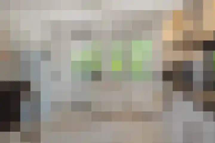 Boutenslaan 33 Eindhoven thumbnail 20