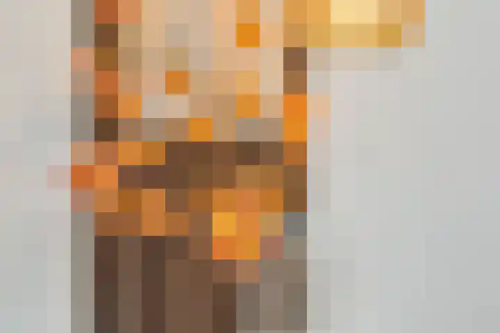 Boutenslaan 33 Eindhoven thumbnail 21