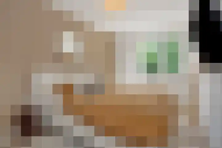 Boutenslaan 33 Eindhoven thumbnail 27