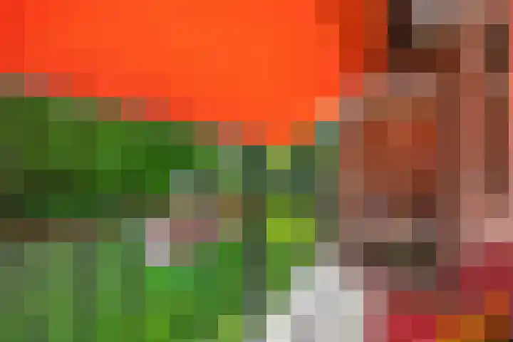 Boutenslaan 33 Eindhoven thumbnail 32