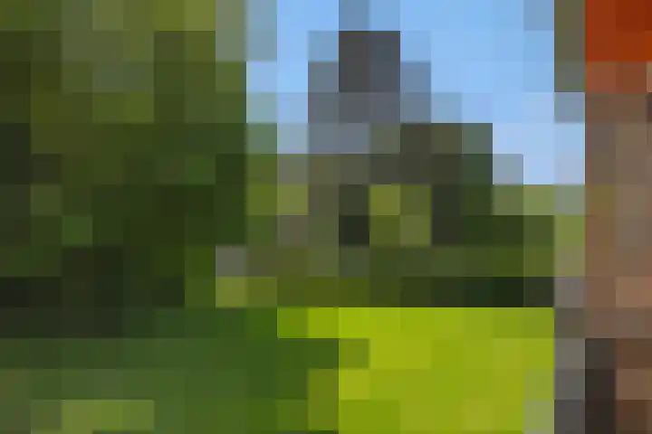 Boutenslaan 33 Eindhoven thumbnail 34