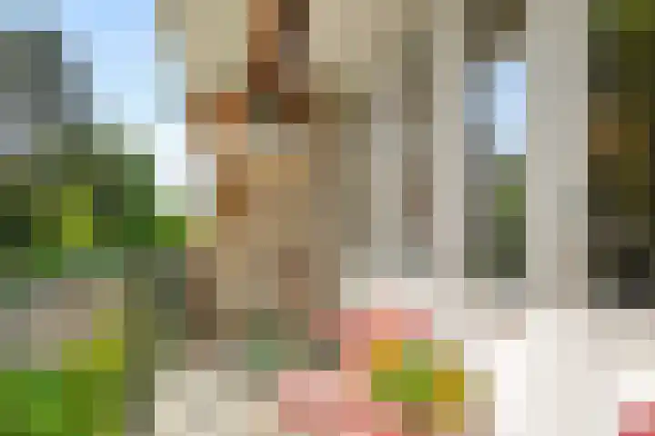 Boutenslaan 33 Eindhoven thumbnail 35
