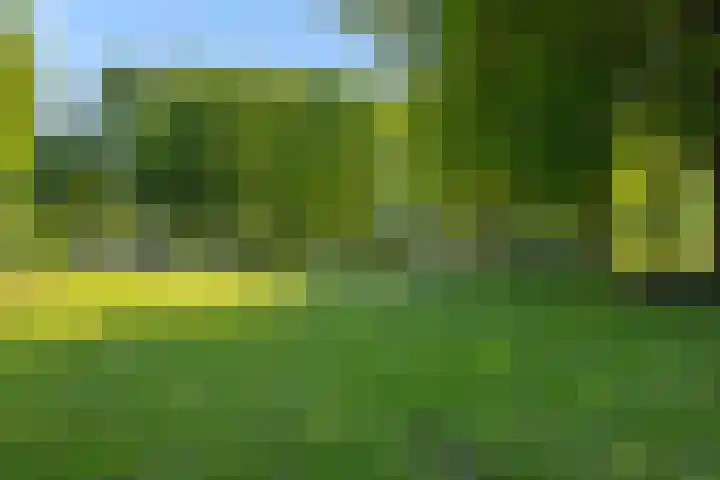 Boutenslaan 33 Eindhoven thumbnail 37