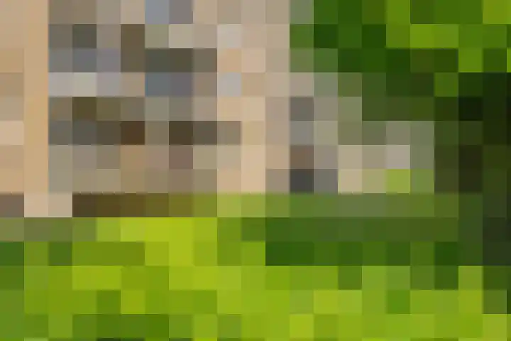 Boutenslaan 33 Eindhoven thumbnail 5