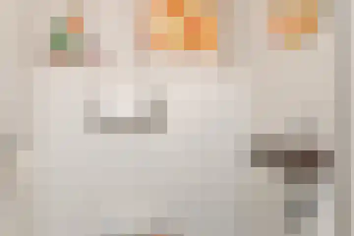 Boutenslaan 33 Eindhoven thumbnail 6