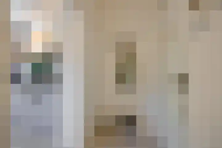 Boutenslaan 33 Eindhoven thumbnail 9