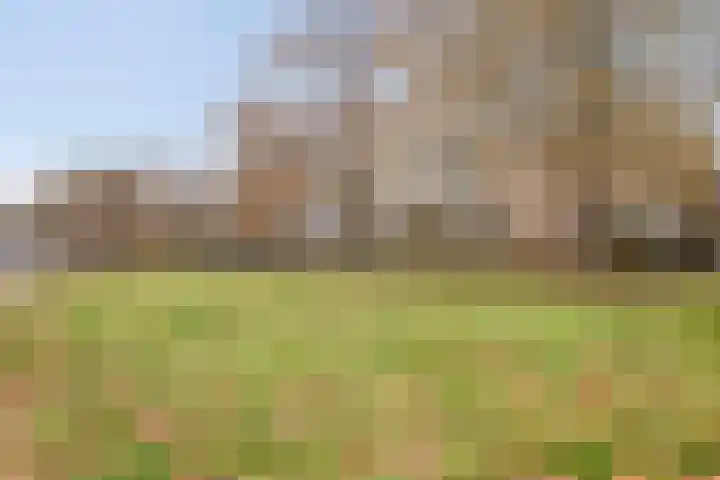 Boutenslaan 4 Eindhoven thumbnail 26